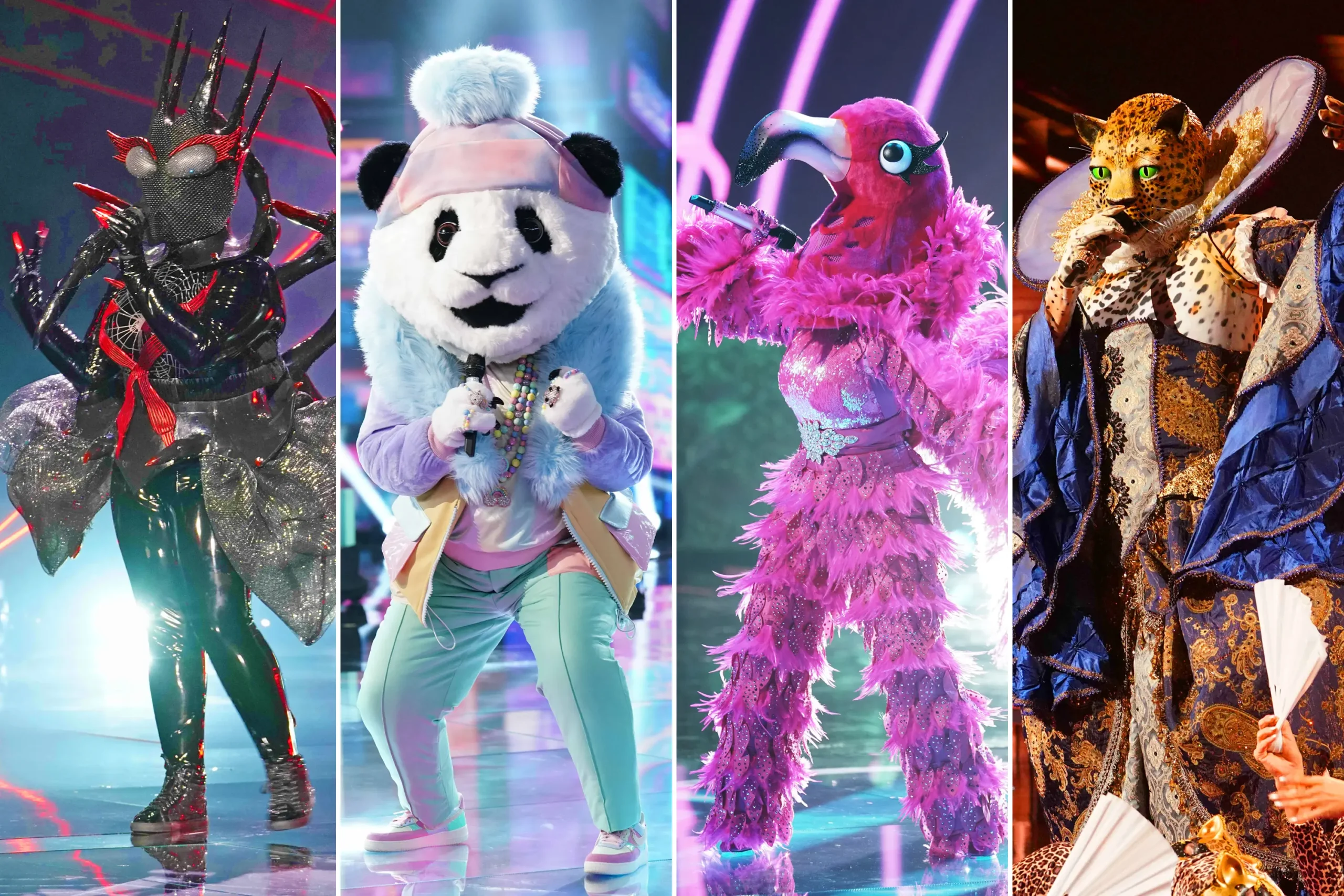 Masked Singer Revealed 